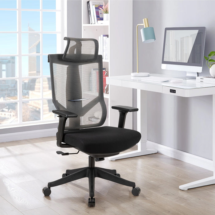 Flexispot A4 - Ergonomic office Mesh chair