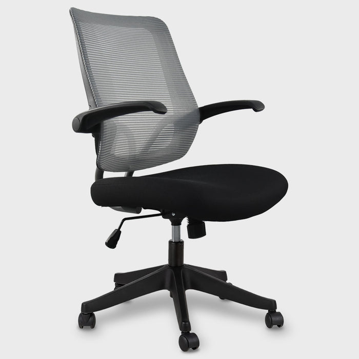 Flexispot A2 - Efficient Office Chair