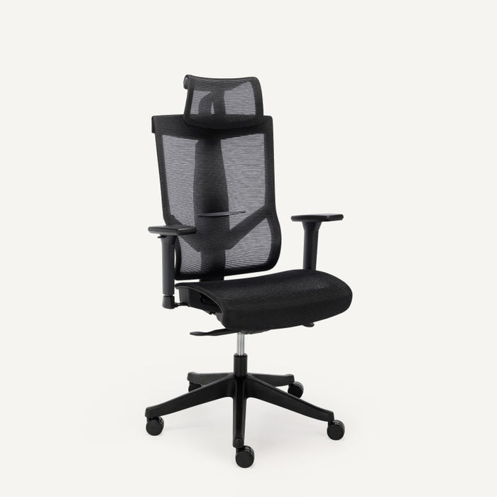 Flexispot A4 - Ergonomic office Mesh chair