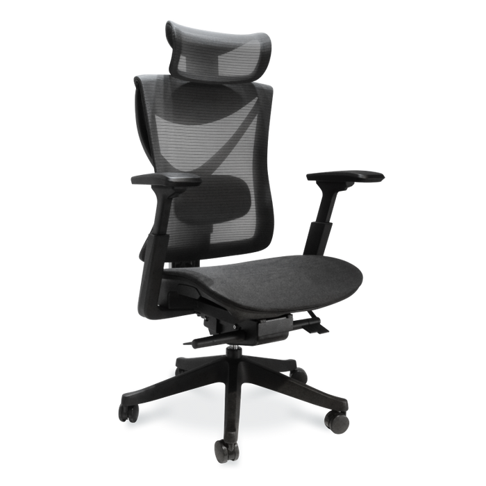 Flexispot A5 - Ergonomic Office Chair