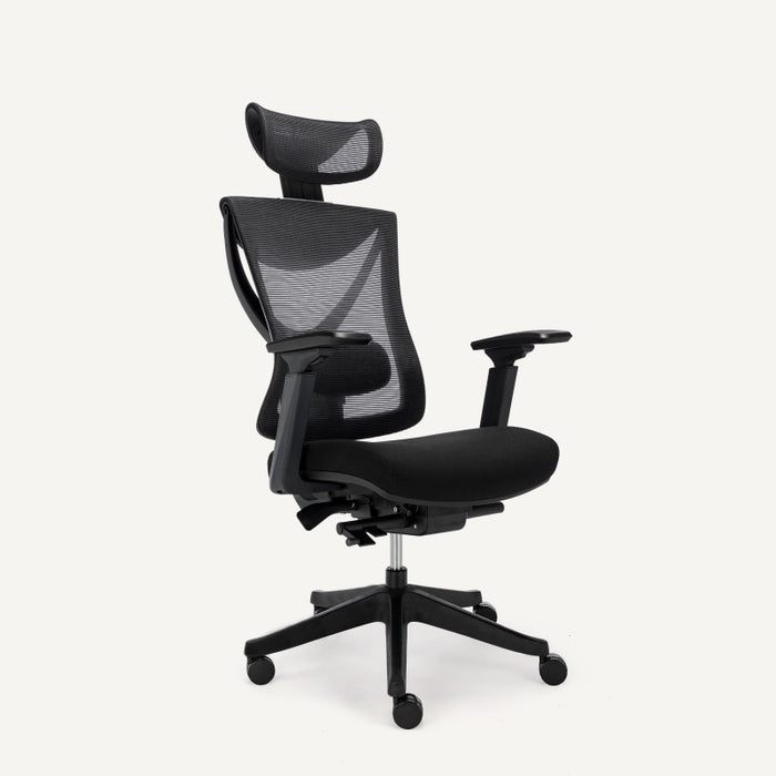 Flexispot A5 - Ergonomic Office Chair