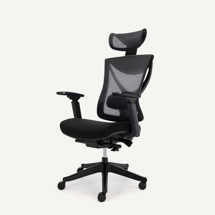 Flexispot A5 - Ergonomic Office Chair