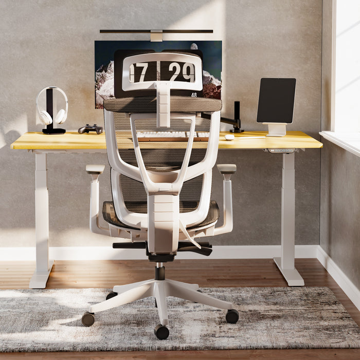 Flexispot C7- Premium Ergonomic Office Chair