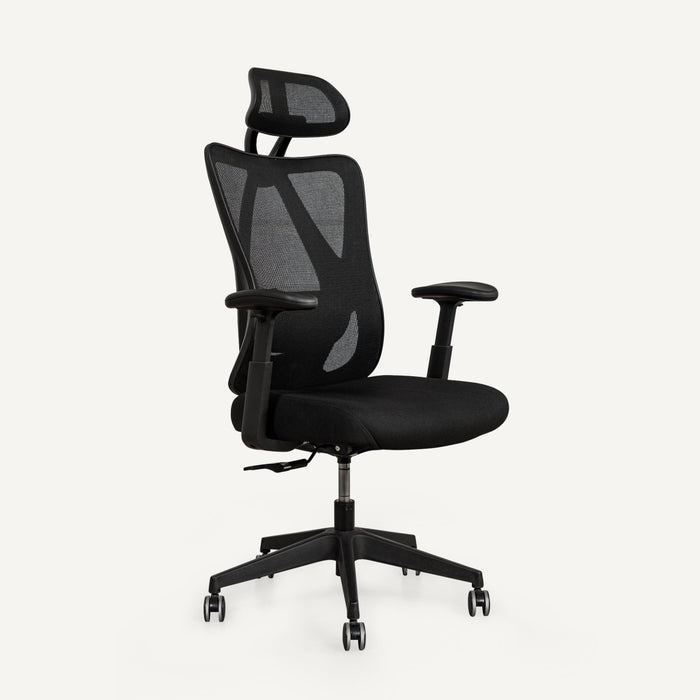 Flexispot C5 - Ergonomic Standard Office Chair