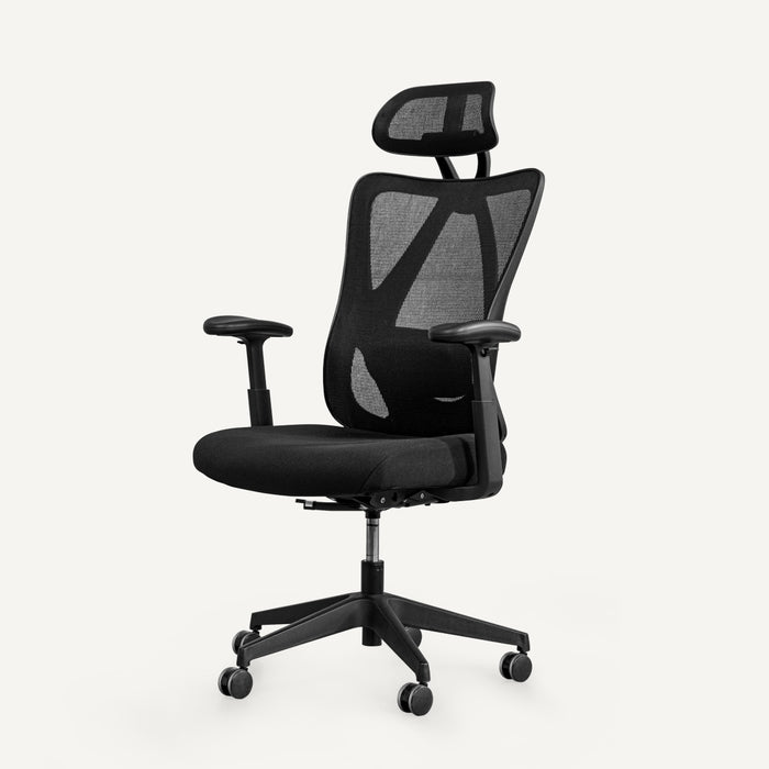 Flexispot C5 - Ergonomic Standard Office Chair