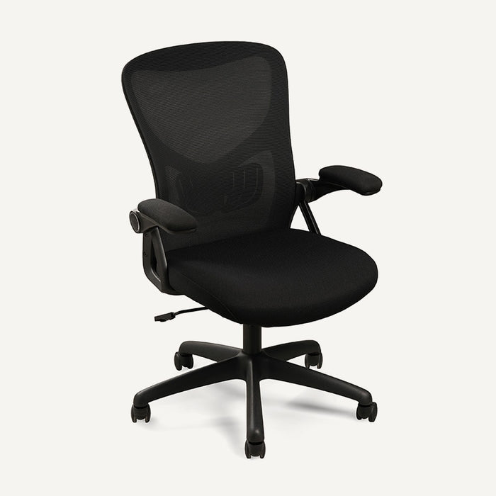 Flexispot C2 - Ergonomic Office Chair