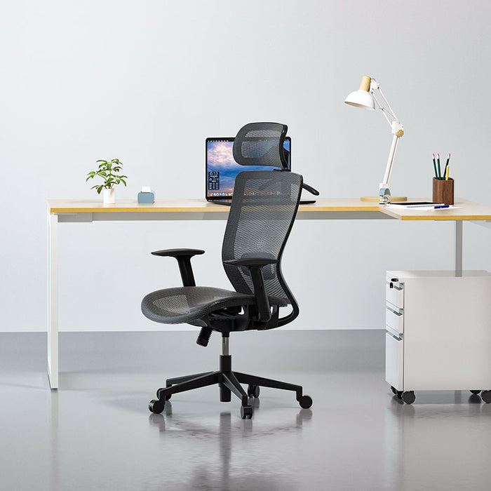 Flexispot C3 - Essential Office chair