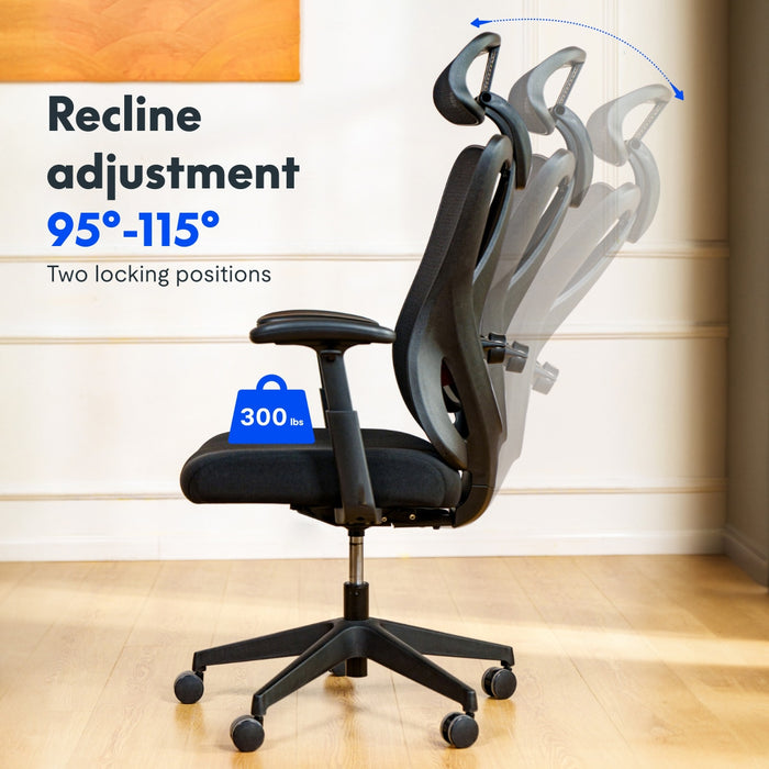 Flexispot C5 - Ergonomic Standard Office Chair