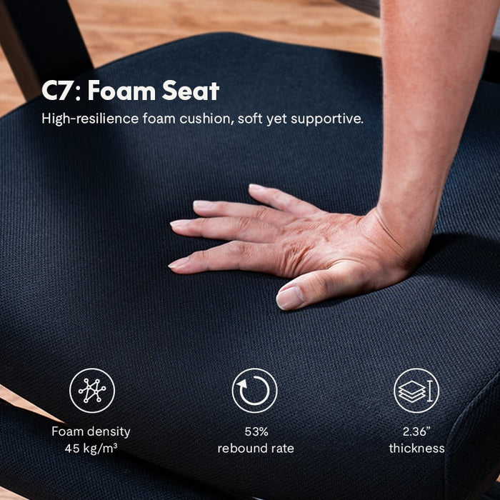 Flexispot C7- Premium Ergonomic Office Chair