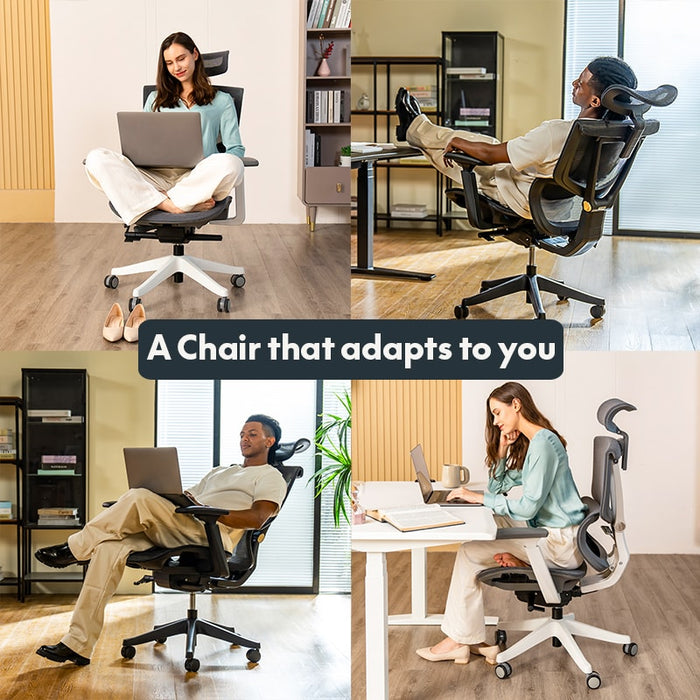 Flexispot C7- Premium Ergonomic Office Chair