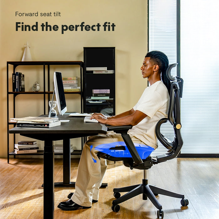 Flexispot C7- Premium Ergonomic Office Chair