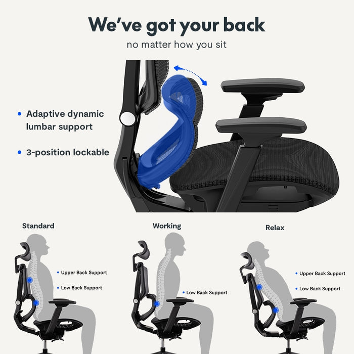 Flexispot C7- Premium Ergonomic Office Chair