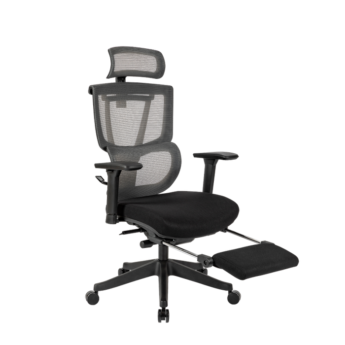 Flexispot C7- Premium Ergonomic Office Chair