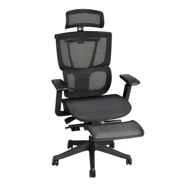 Flexispot C7- Premium Ergonomic Office Chair