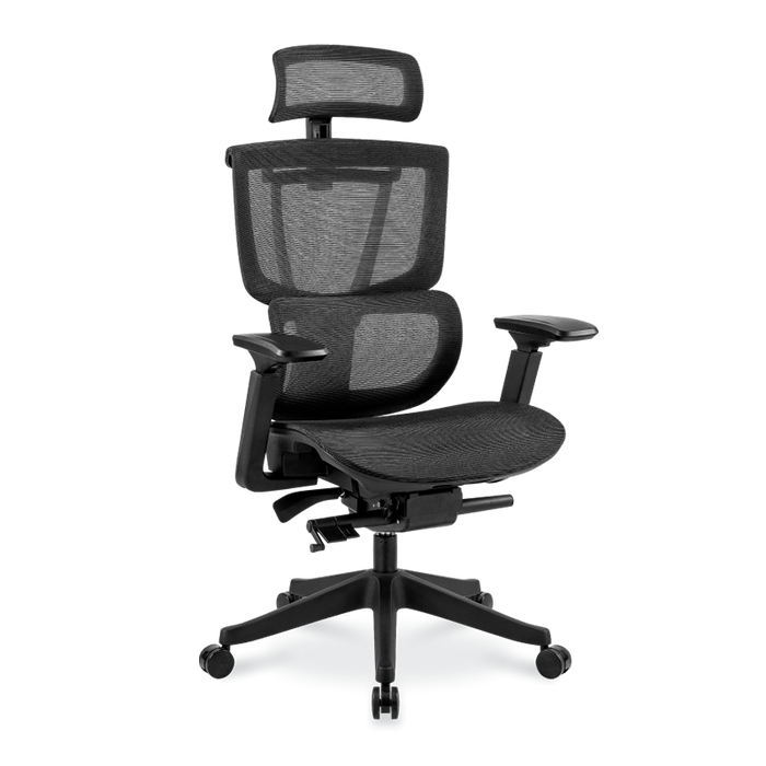 Flexispot C7- Premium Ergonomic Office Chair