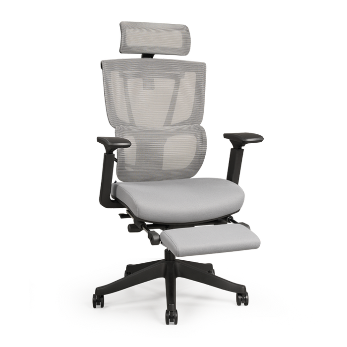 Flexispot C7- Premium Ergonomic Office Chair