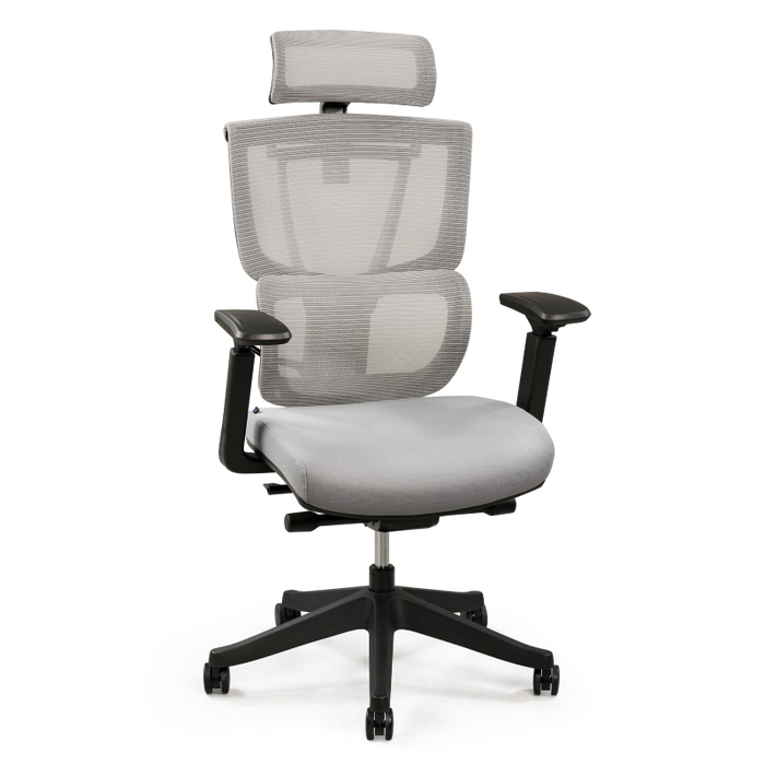 Flexispot C7- Premium Ergonomic Office Chair