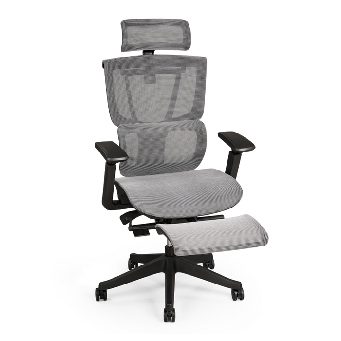 Flexispot C7- Premium Ergonomic Office Chair