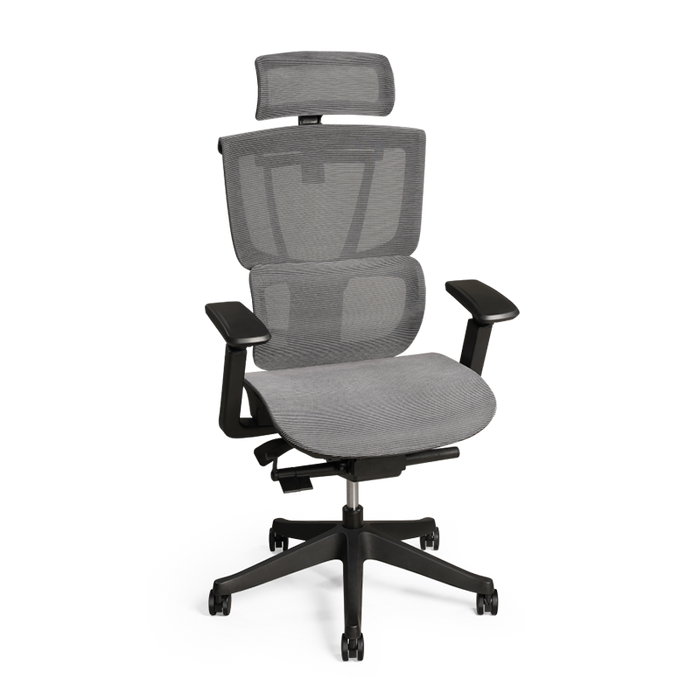 Flexispot C7- Premium Ergonomic Office Chair