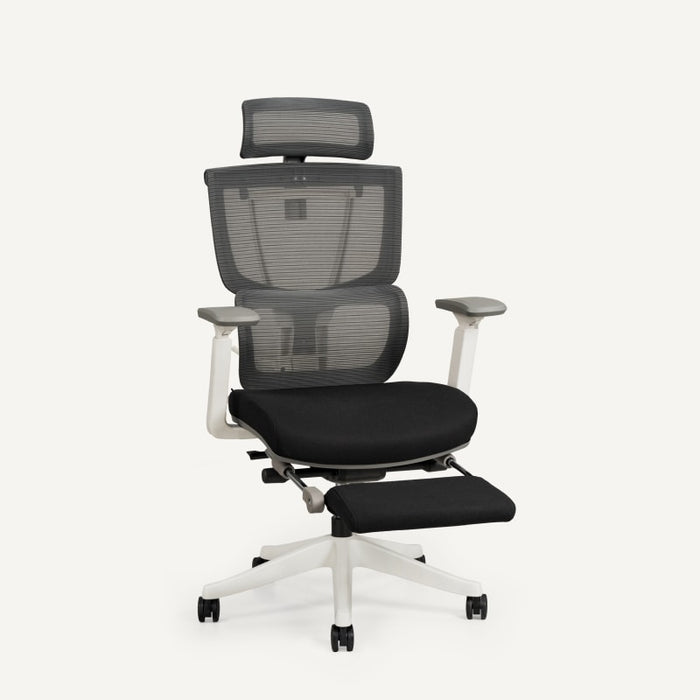 Flexispot C7- Premium Ergonomic Office Chair