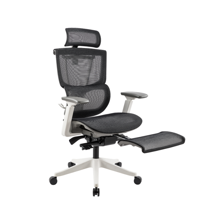 Flexispot C7- Premium Ergonomic Office Chair