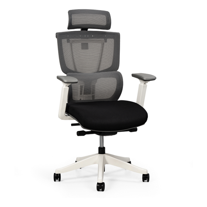 Flexispot C7- Premium Ergonomic Office Chair