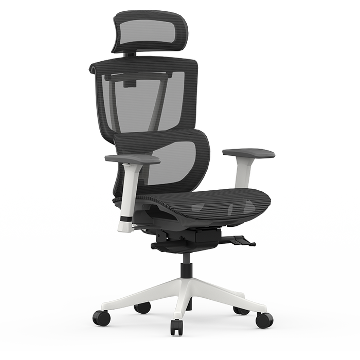 Flexispot C7- Premium Ergonomic Office Chair