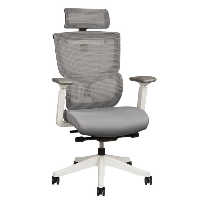 Flexispot C7- Premium Ergonomic Office Chair