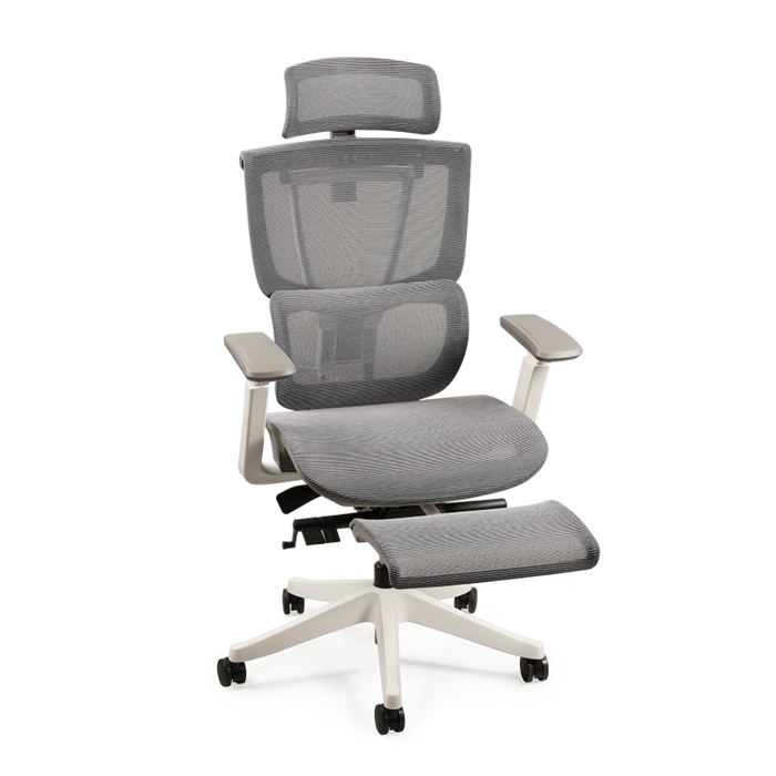 Flexispot C7- Premium Ergonomic Office Chair