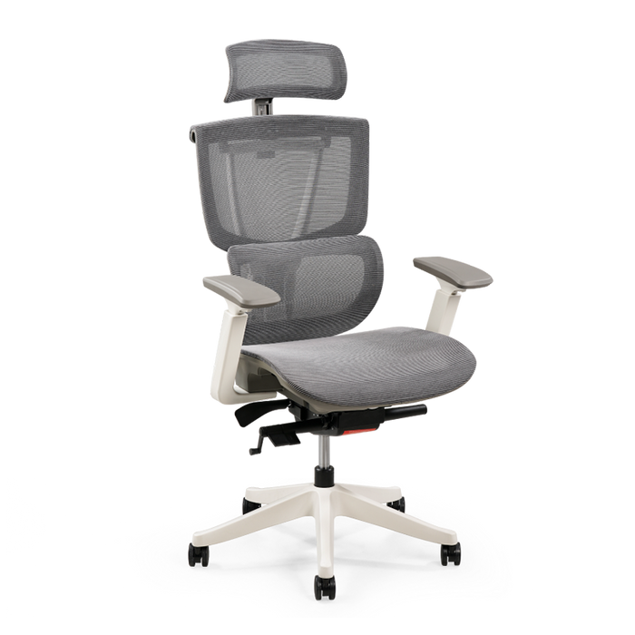 Flexispot C7- Premium Ergonomic Office Chair