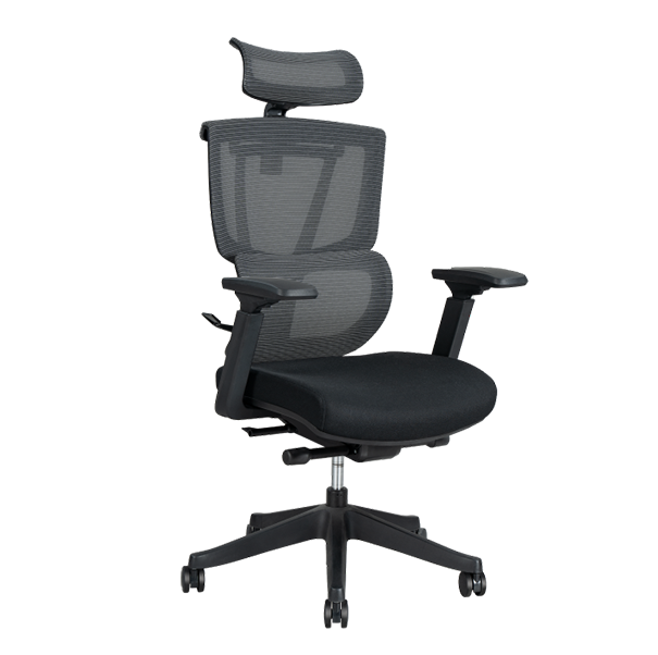 Flexispot C7- Premium Ergonomic Office Chair