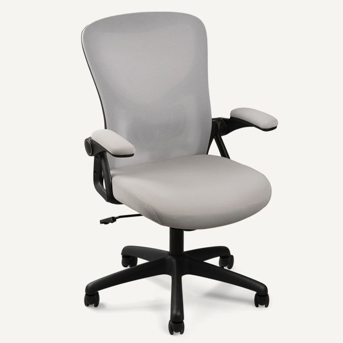 Flexispot C2 - Ergonomic Office Chair