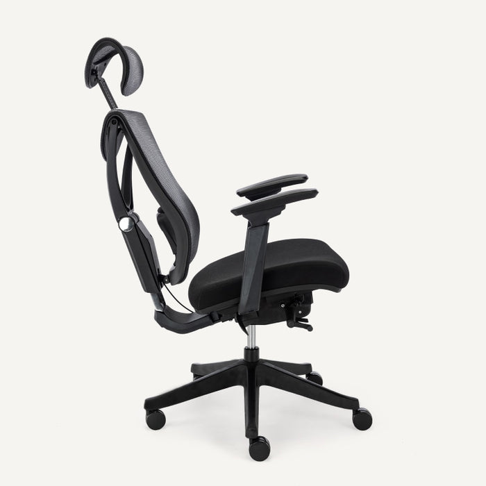 Flexispot A5 - Ergonomic Office Chair