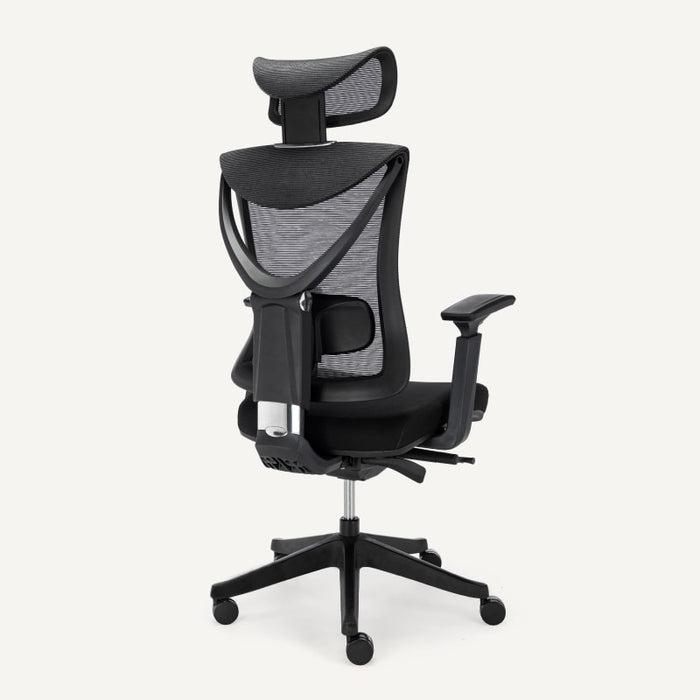 Flexispot A5 - Ergonomic Office Chair