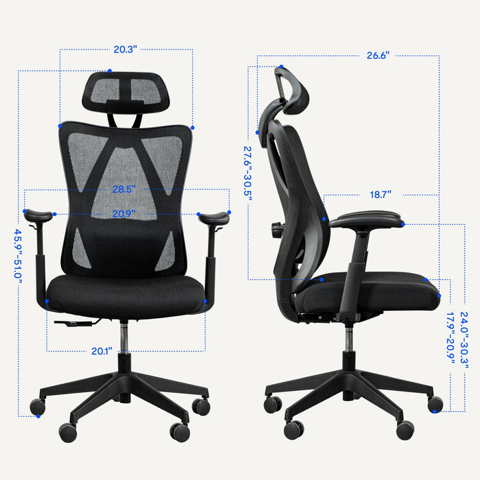 Flexispot C5 - Ergonomic Standard Office Chair