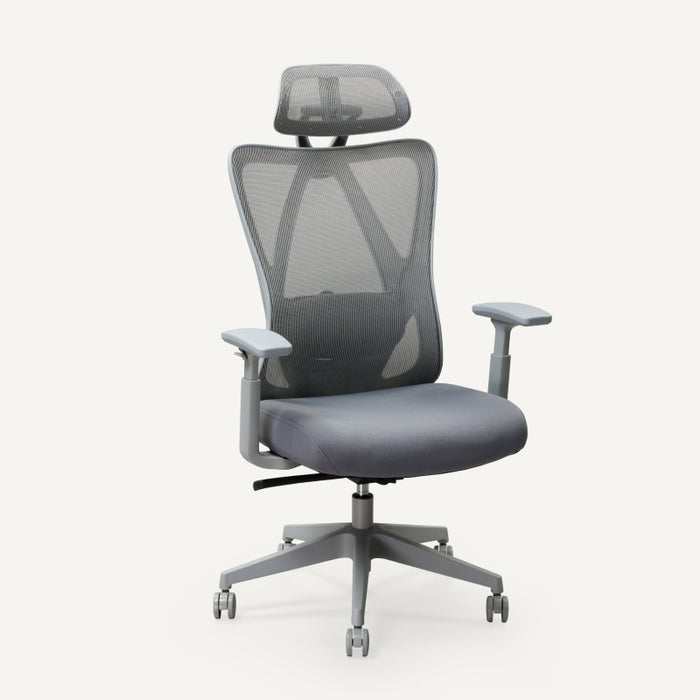 Flexispot C5 - Ergonomic Standard Office Chair