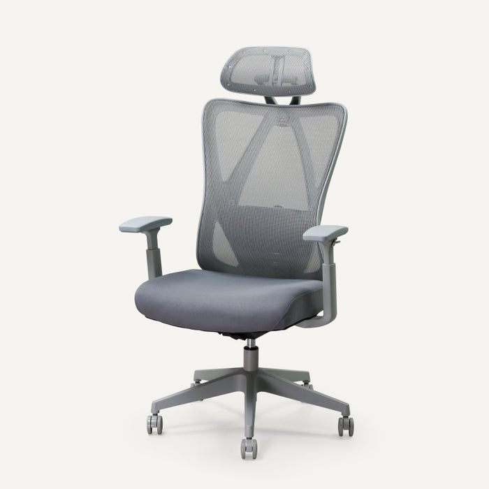 Flexispot C5 - Ergonomic Standard Office Chair