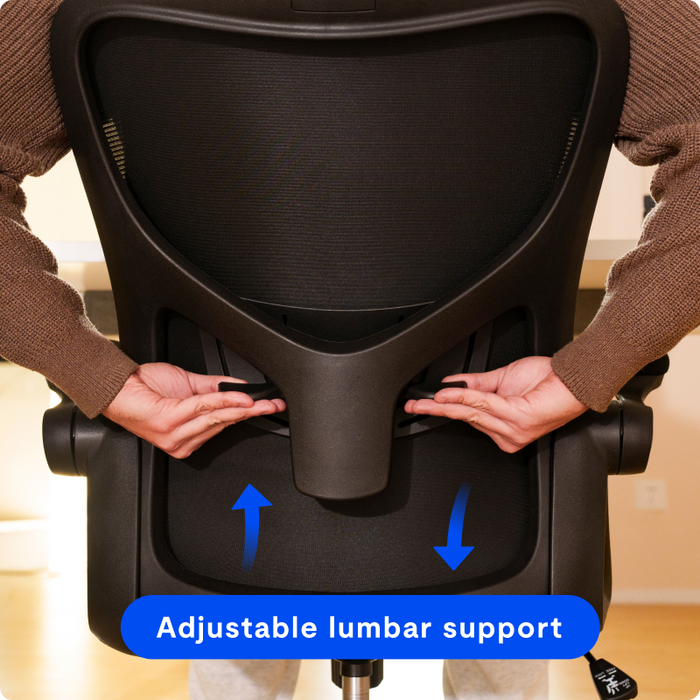 Flexispot C2 - Ergonomic Office Chair