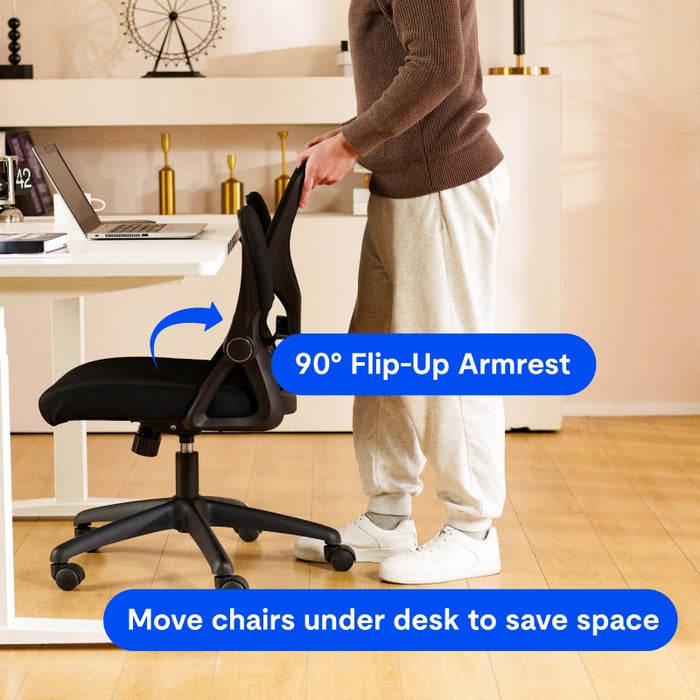 Flexispot C2 - Ergonomic Office Chair