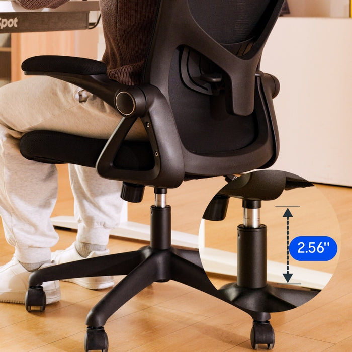 Flexispot C2 - Ergonomic Office Chair