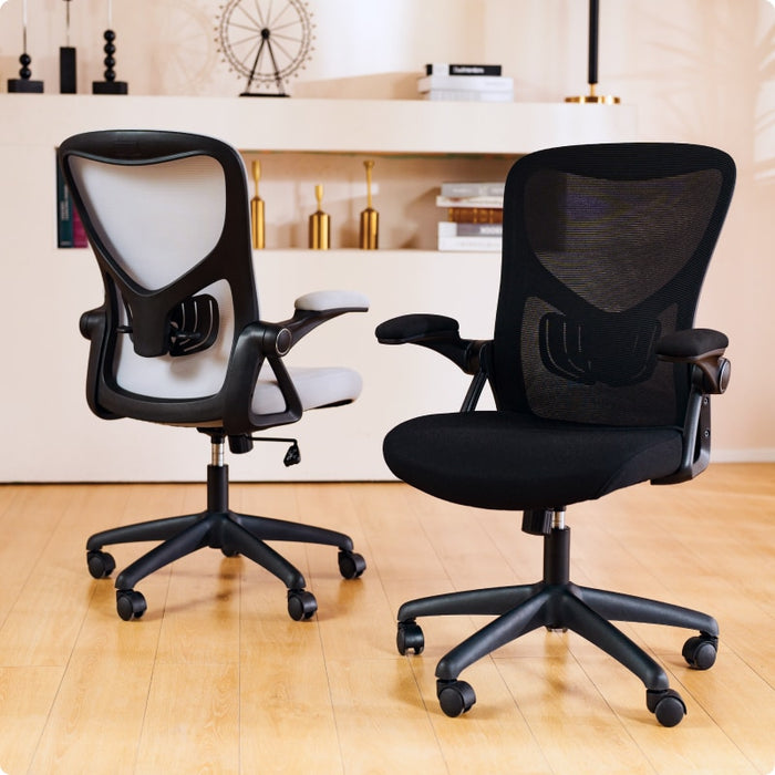 Flexispot C2 - Ergonomic Office Chair