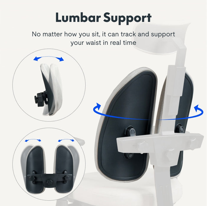 Flexispot OC5 - Double Backrest Ergonomic Chair