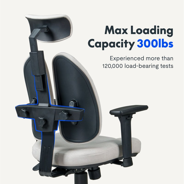 Flexispot OC5 - Double Backrest Ergonomic Chair