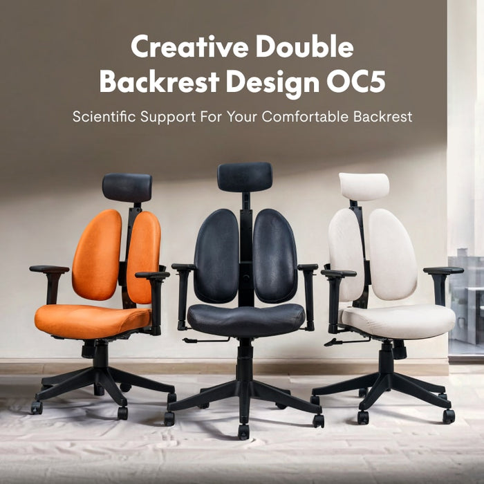 Flexispot OC5 - Double Backrest Ergonomic Chair