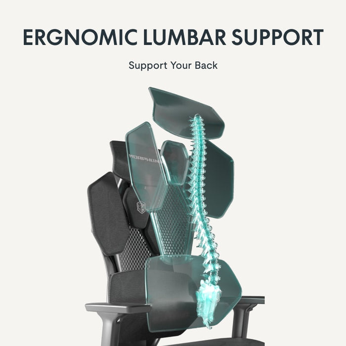 Flexispot A6 - Futuristic Ergonomic Chair