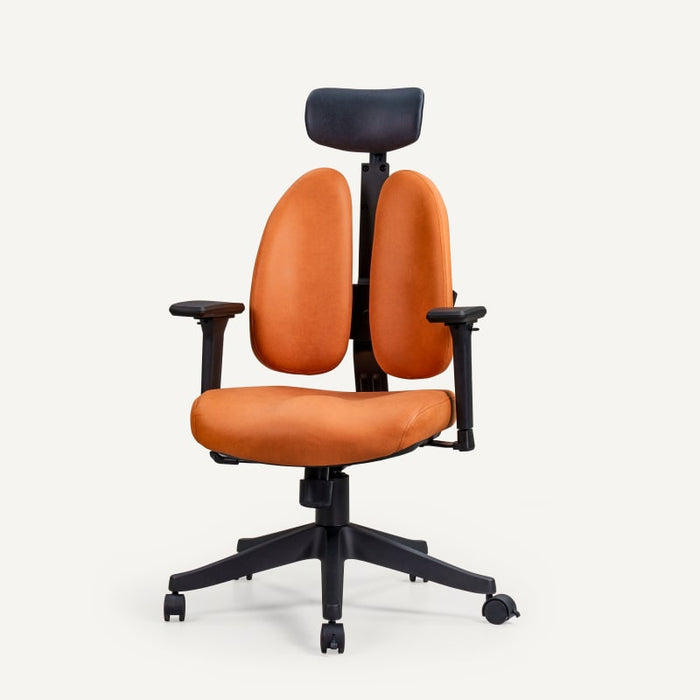 Flexispot OC5 - Double Backrest Ergonomic Chair