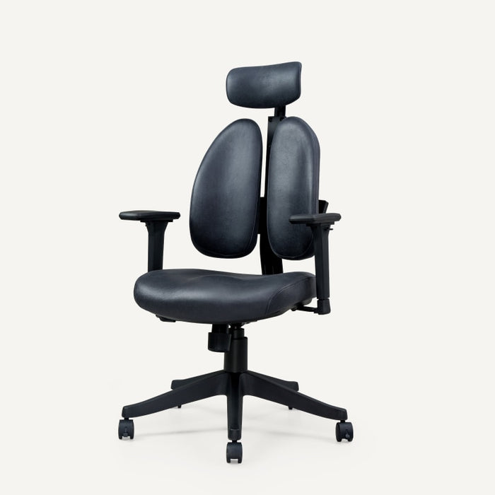 Flexispot OC5 - Double Backrest Ergonomic Chair