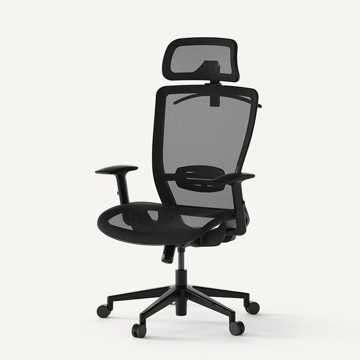 Flexispot C3 - Essential Office chair