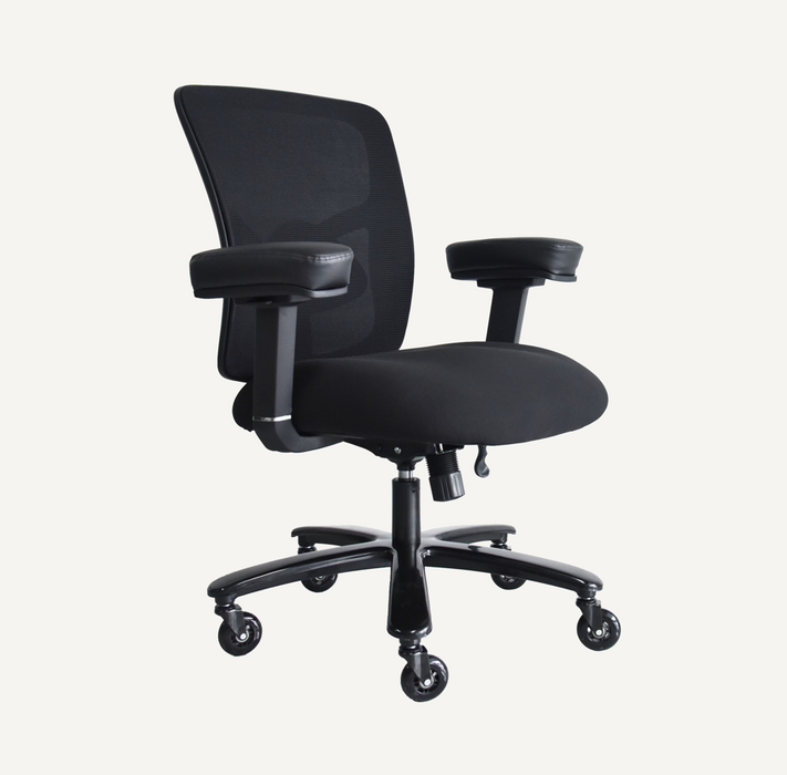 Flexispot B3 - Big and Tall Ergonomic Chair