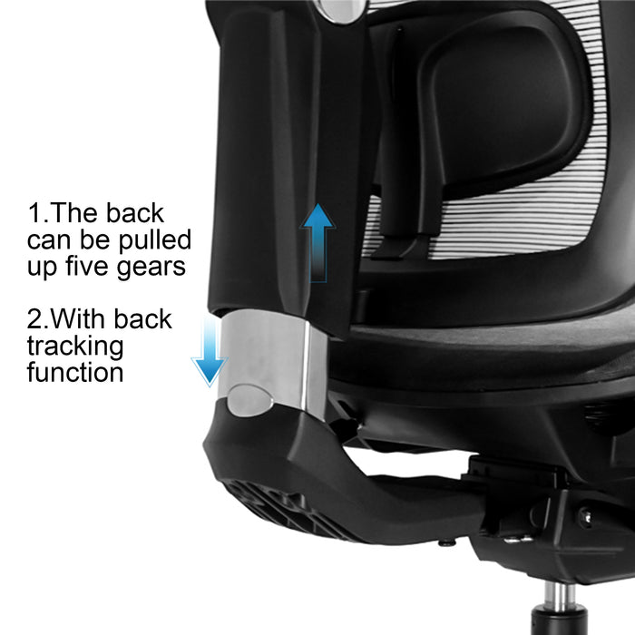 Flexispot A5 - Ergonomic Office Chair